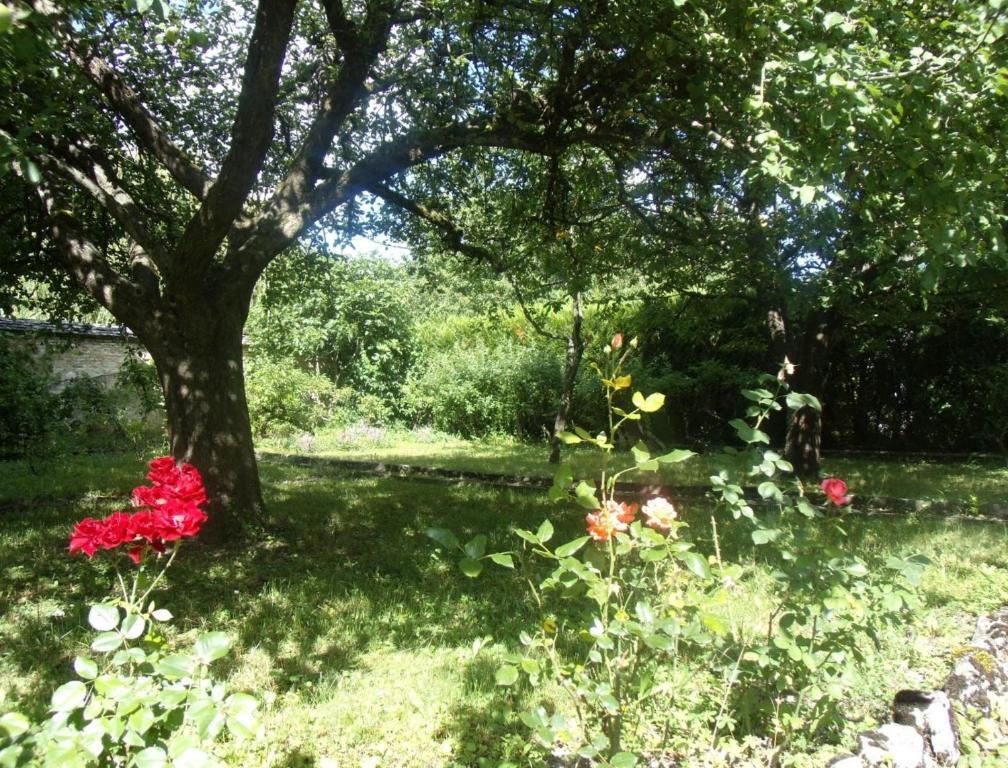 Le Grand Jardin Bed & Breakfast Beaune  Bagian luar foto