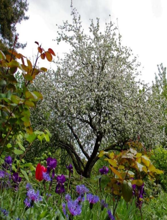 Le Grand Jardin Bed & Breakfast Beaune  Bagian luar foto